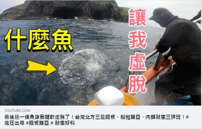 北方三島的拼博 都是嘰嘰出線聲 附影片 Etuoh 漁拓企業股份有限公司